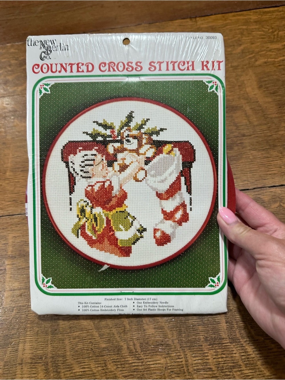 Counted Cross Stitch Kit - Red & Green Holiday Design new in package